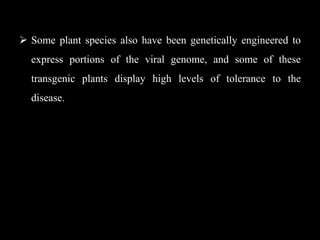  Some plant species also have been genetically engineered to
express portions of the viral genome, and some of these
transgenic plants display high levels of tolerance to the
disease.
 