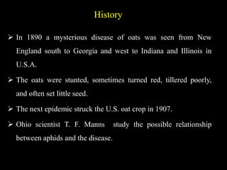 History
 In 1890 a mysterious disease of oats was seen from New
England south to Georgia and west to Indiana and Illinois in
U.S.A.
 The oats were stunted, sometimes turned red, tillered poorly,
and often set little seed.
 The next epidemic struck the U.S. oat crop in 1907.
 Ohio scientist T. F. Manns study the possible relationship
between aphids and the disease.
 