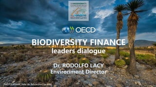 PHOTO: UNAM, Valle de Tehuacán-Cuicatlán
BIODIVERSITY FINANCE
leaders dialogue
Dr. RODOLFO LACY
Environment Director
 