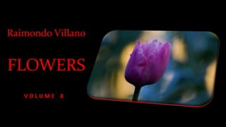 Raimondo Villano
FLOWERS
V O L U M E 8
 