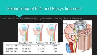 Recurrent Laryngeal Nerve