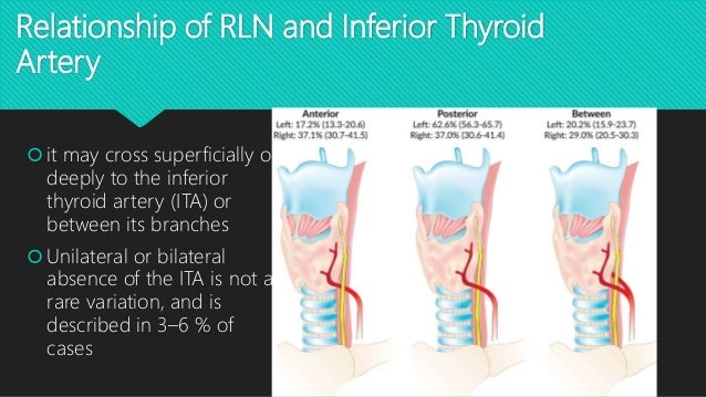 Recurrent Laryngeal Nerve