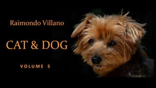 Raimondo Villano
CAT & DOG
V O L U M E 5
 