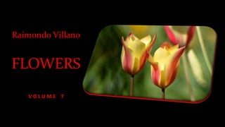 Raimondo Villano
FLOWERS
V O L U M E 7
 