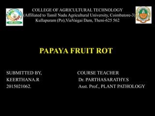 COLLEGE OF AGRICULTURAL TECHNOLOGY
( (Affiliated to Tamil Nadu Agricultural University, Coimbatore-3)
Kullapuram (Po),ViaVaigai Dam, Theni-625 562
PAPAYA FRUIT ROT
SUBMITTED BY, COURSE TEACHER
KEERTHANA.R Dr. PARTHASARATHY.S
2015021062. Asst. Prof., PLANT PATHOLOGY
 