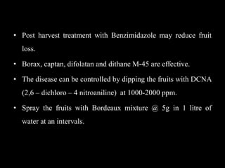 • Post harvest treatment with Benzimidazole may reduce fruit
loss.
• Borax, captan, difolatan and dithane M-45 are effective.
• The disease can be controlled by dipping the fruits with DCNA
(2,6 – dichloro – 4 nitroaniline) at 1000-2000 ppm.
• Spray the fruits with Bordeaux mixture @ 5g in 1 litre of
water at an intervals.
 