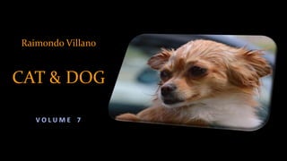 Raimondo Villano
CAT & DOG
V O L U M E 7
 