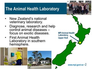 www.mpi.govt.nz • 2
The Animal Health Laboratory
•  New Zealand’s national
veterinary laboratory.
•  Diagnose, research an...