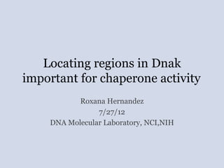 Locating regions in Dnak
important for chaperone activity
Roxana Hernandez
7/27/12
DNA Molecular Laboratory, NCI,NIH
 