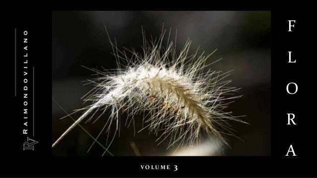 V O L U M E 3
F
L
O
R
A
 