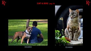 R. VILLANO Portfolio vol. 1 (cat & dog)