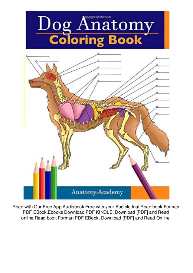 Download R E A D Dog Anatomy Coloring Book Incredibly Detailed Self Test C