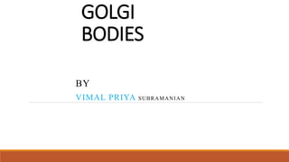 GOLGI
BODIES
BY
VIMAL PRIYA SUBRAMANIAN
 
