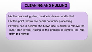 R.S.VIMAL Post harvest technology for paddy.pptx