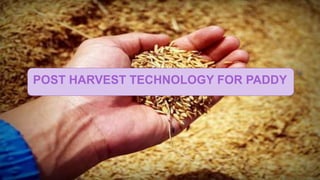 POST HARVEST TECHNOLOGY FOR PADDY
 