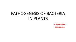 PATHOGENESIS OF BACTERIA
IN PLANTS
R. AVANTHIKA
2021031013
 