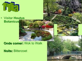 Visitar  Houtus Botanicus 1ºDia Onde comer:  Wok to Walk Noite:  Bitterzoet  