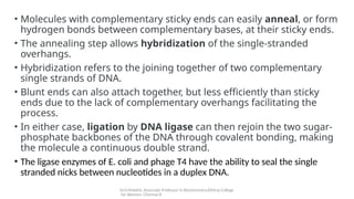 Dr.V.Malathi, Associate Professor in Biochemistry,Ethiraj College
for Women, Chennai-8
• Molecules with complementary sticky ends can easily anneal, or form
hydrogen bonds between complementary bases, at their sticky ends.
• The annealing step allows hybridization of the single-stranded
overhangs.
• Hybridization refers to the joining together of two complementary
single strands of DNA.
• Blunt ends can also attach together, but less efficiently than sticky
ends due to the lack of complementary overhangs facilitating the
process.
• In either case, ligation by DNA ligase can then rejoin the two sugar-
phosphate backbones of the DNA through covalent bonding, making
the molecule a continuous double strand.
• The ligase enzymes of E. coli and phage T4 have the ability to seal the single
stranded nicks between nucleotides in a duplex DNA.
 