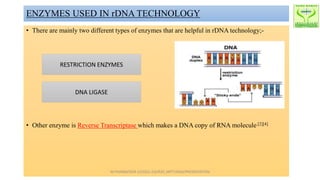 ENZYMES USED IN rDNA TECHNOLOGY
• There are mainly two different types of enzymes that are helpful in rDNA technology;-
• Other enzyme is Reverse Transcriptase which makes a DNA copy of RNA molecule.[2][4]
RESTRICTION ENZYMES
DNA LIGASE
M.PHARM/SEM 1/(2022-23)/R20_MPT1936S/PRESENTATION
 