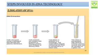 STEPS INVOLVED IN rDNA TECHNOLOGY
1.ISOLATION OF DNA-
[2]
M.PHARM/SEM 1/(2022-23)/R20_MPT1936S/PRESENTATION
 