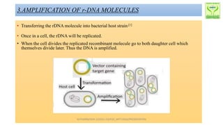 3.AMPLIFICATION OF r-DNA MOLECULES
• Transferring the rDNA molecule into bacterial host strain.[1]
• Once in a cell, the rDNA will be replicated.
• When the cell divides the replicated recombinant molecule go to both daughter cell which
themselves divide later. Thus the DNA is amplified.
M.PHARM/SEM 1/(2022-23)/R20_MPT1936S/PRESENTATION
 