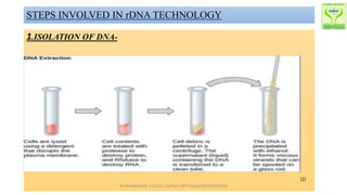 RECOMBINANT-DNA ppt.pptx