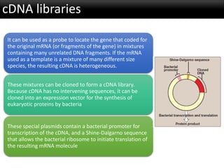 Recombinant DNA Technology | PDF