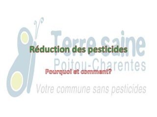 Réduction des pesticides Pourquoi et comment? 