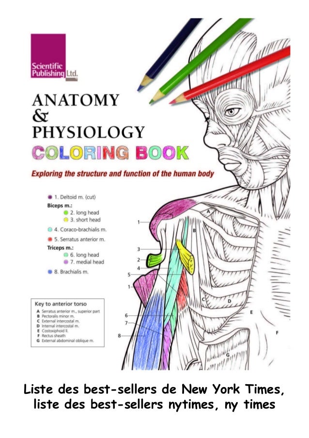 Download R E A D Anatomy Physiology Coloring Book K I N D L E