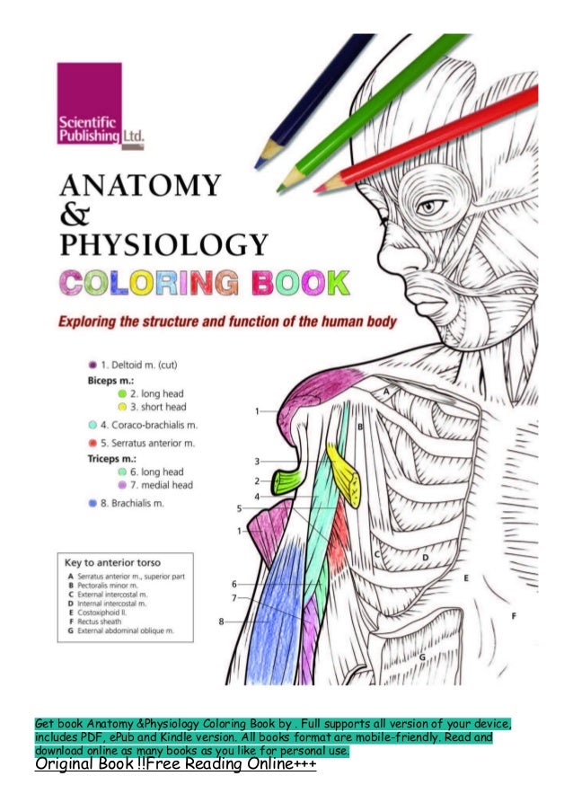 Download R E A D Anatomy Physiology Coloring Book K I N D L E