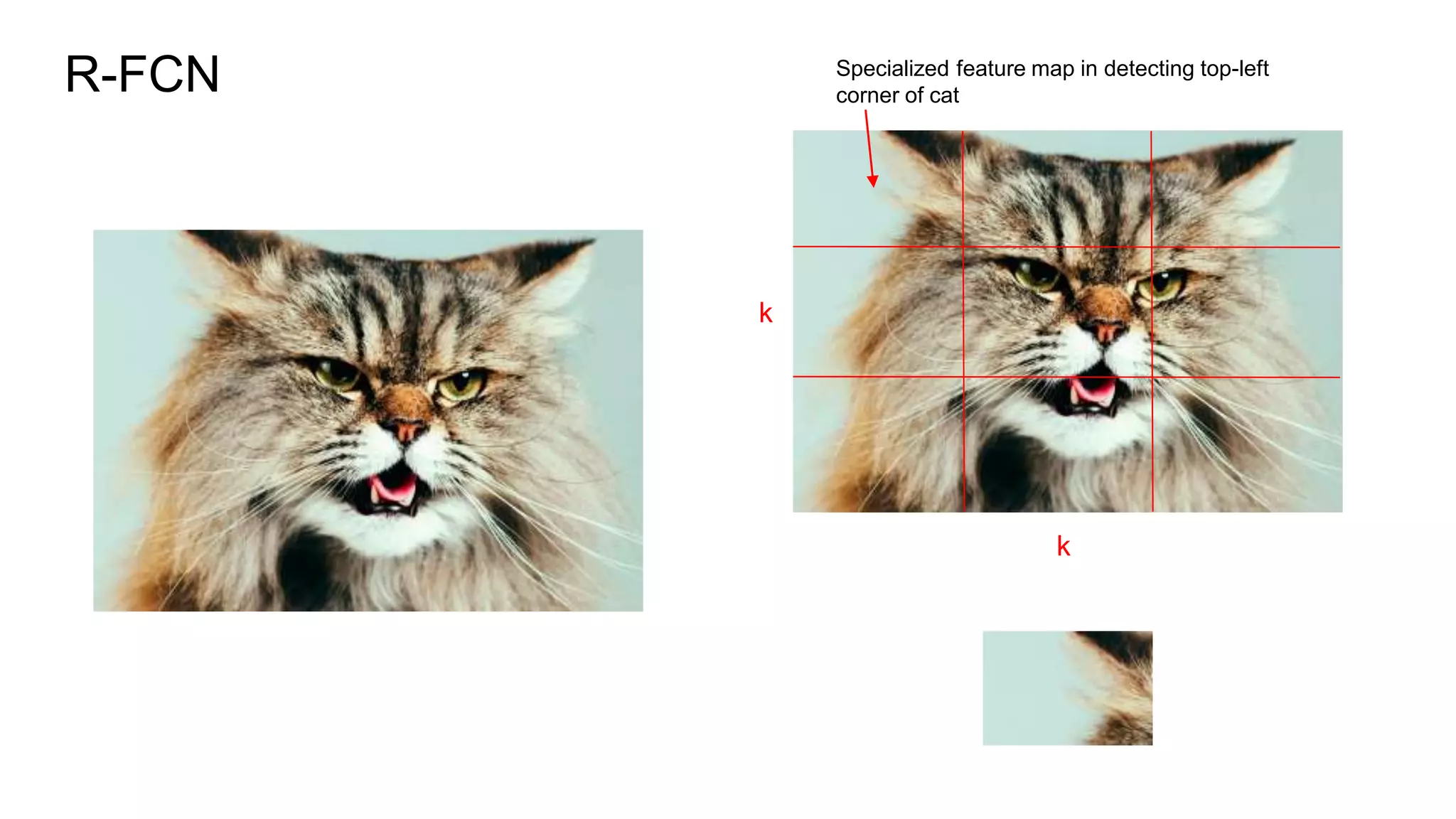 R-FCN Specialized feature map in detecting top-left
corner of cat
k
k
 
