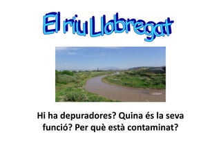 Hi ha depuradores? Quina és la seva funció? Per què està contaminat?El riu Llobregat