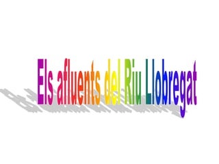 Els afluentsdelRiu Llobregat