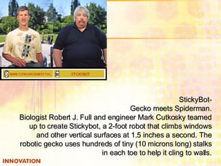 Stickybot R O B O T I C S | PPT