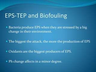 EPS-TEP and Biofouling
 Bacteria produce EPS when they are stressed by a big
change in their environment.
 The biggest the attack, the more the production of EPS
 Oxidants are the biggest producers of EPS.
 Ph change affects in a minor degree.
 