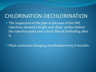 CHLORINATION-DECHLORINATION
 The inspection of the pipe in the area of the SBS
injection, showed a bright and clean surface before
the injection point and a thick film of biofouling after
it.
 Plant continues changing membranes every 6 months.
 