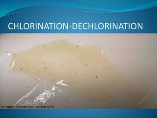 CHLORINATION-DECHLORINATION
 