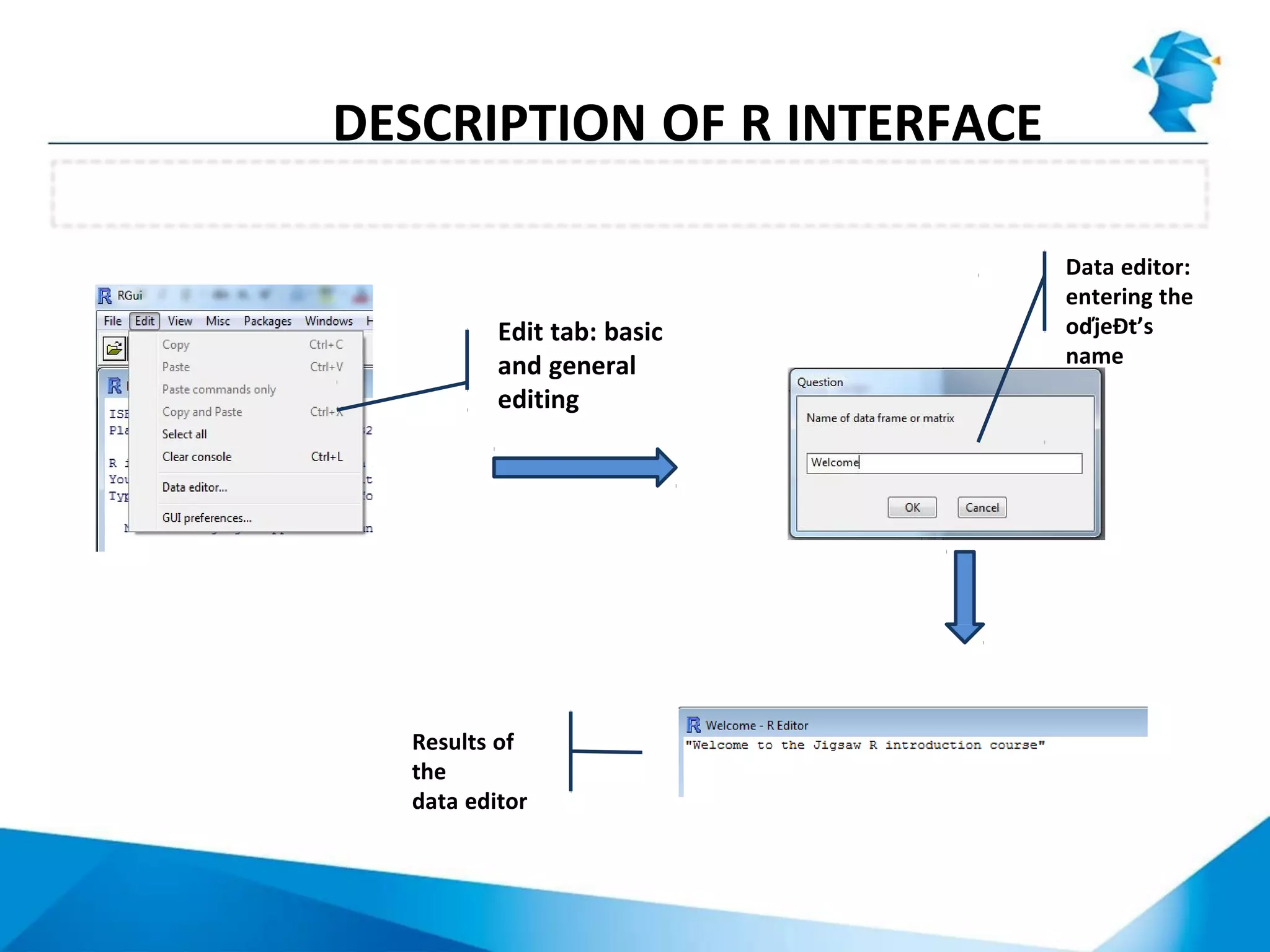 RGui menu: Edit tab
DESCRIPTION OF R INTERFACE
Edit tab: basic
and general
editing
Results of
the
data editor
Data editor:
entering the
oďjeĐt’s
name
 