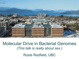Molecular Drive in Bacterial Genomes (This talk is really about sex.) Rosie Redfield, UBC 