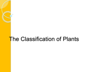 The Classification of Plants
 
