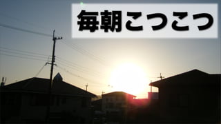毎朝こつこつ
 