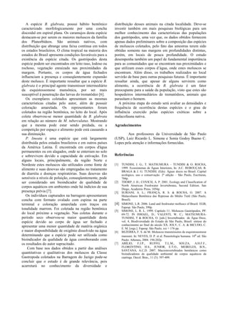 A espécie B. glabrata, possui hábito bentônico          distribuição desses animais na citada localidade. Deve-se
caracterizado morfologicamente por uma concha              investir também em mais pesquisas biológicas para um
discoidal em espiral plana. Os caramujos desta espécie     melhor conhecimento das características das populações
destacam-se por serem os maiores moluscos da família       dos gastrópodes, uma vez que, os dados obtidos fornecem
dos Planorbídeos. São animais nativos, com                 apenas dados preliminares sobre a composição das espécies
distribuição que abrange uma faixa contínua em todos       de moluscos coletados, pelo fato das amostras terem sido
os estados brasileiros. O clima tropical na maioria dos    obtidas somente nas margens em profundidades distintas,
estados do Brasil apresenta condições favoráveis para a    porém, em locais de pouca profundidade. O estudo
existência da espécie citada. Os gastrópodes desta         desempenha também um papel de fundamental importância
espécie podem ser encontrados em leito raso, lodoso ou     para as comunidades que se encontram nas proximidades e
rochoso, vegetação enraizada nas proximidades da           que utilizam esses corpos d’água, onde estes moluscos se
margem. Portanto, os corpos de água fechados               encontram. Além disso, os trabalhos realizados no local
influenciam a presença e conseqüentemente expansão         servirão de base para outras pesquisas futuras. É importante
deste molusco. É importante ressaltar que a espécie B.     ressaltar ainda, que apesar de alguns servirem como
glabrata é o principal agente transmissor intermediário    alimento, a ocorrência de B. glabrata é um fator
da esquistossomose mansônica, por ser mais                 preocupante para a saúde da população, visto que estes são
susceptível à penetração das larvas do trematódeo [6].     hospedeiros intermediários de trematódeos, animais que
   Os exemplares coletados apresentam as mesmas            parasitam o homem.
características citadas pelo autor, além de possuir           A próxima etapa do estudo será avaliar as densidades e
coloração amarelada. Os representantes foram               frequência de ocorrência destas espécies e o grau de
coletados na região bentônica, no leito do local. Após     influência exercido pelas espécies exóticas sobre a
coleta observou-se menor quantidade de B. glabrata         malacofauna nativa.
em relação ao número de M. tuberculatus. Mostrando
que a mesma pode estar sendo predada, ou a                 Agradecimentos
competição por espaço e alimento pode está causando a
sua diminuição.                                                    Aos professores da Universidade de São Paulo
   P. lineata é uma espécie que está largamente            (USP), Luiz Ricardo L. Simone e Sonia Godoy Bueno C.
distribuída pelos estados brasileiros e em outros países   Lopes pela atenção e informações fornecidas.
da América Latina. É encontrada em corpos d'água
permanentes ou em alagados, onde se enterram no solo
e sobrevivem devido a capacidade de estivação. Em          Referências
alguns locais, principalmente, da região Norte e
Nordeste estes moluscos são utilizados como fonte de       [1]   TUNDISI, J. G.; T. MATSUMURA – TUNDISI & O. ROCHA,
alimento e suas desovas são empregadas no tratamento             1999. Ecossistemas de Águas Interiores, In: A.C. REBOUÇAS; B.
                                                                 BRAGA & J. G. TUNDISI. (Eds). Águas doces no Brasil. Capital
de diarréia e doenças respiratórias. Suas desovas são            ecológico, uso e conservação. 2ª edição – São Paulo, Escrituras,
sensíveis a níveis de poluição, conseqüentemente, pode           704p.
ser considerado um bioindicador de qualidade de            [2]   THORP, J. H.; COVICH, A. P. 2001. Ecology and Classification of
corpos aquáticos em ambientes onde há indícios de sua            North American Freshwater Invertebrates, Second Edition. San
                                                                 Diego, Academic Press, 1056p.
presença prévia [7].                                       [3]   SURIANI, A. L.; FRANÇA, R. S. & ROCHA, O. 2007. A
   Os indivíduos capturados na barragem apresentaram             Malacofauna Bentônica das Represas do Médio Tietê (São Paulo,
concha com formato ovalado com espiras na parte                  Brasil).
terminal e coloração amarelada com traços em               [4]   SIMONE, L.R. 2006. Land and freshwater molluscs of Brazil. EGB,
tonalidade marrom. Foi coletada na região bentônica              Fapesp. São Paulo, 390p.
                                                           [5]   SIMONE, L. R. L. 1999. Capítulo 11: Moluscos Gastrópodos, PP.
do local próximo a vegetação. Nas coletas durante o              69-72. IN ISMAEL, D.; VALENTI, W. C.; MATSUMURA-
período seco observou-se maior quantidade desta                  TUNDISI, T & ROCHA, O. [eds.] Invertebrados de Água Doce,
espécie devido ao corpo de água ser fechado e                    vol. 4, Biodiversidade do Estado de São Paulo, Brasil: síntese do
apresentar uma menor quantidade de matéria orgânica              conhecimento ao final do século XX. JOLY, C. A. & BICUDO, C.
                                                                 E. M. [orgs.]. Fapesp. São Paulo, xxi + 176 pp.
e maior disponibilidade de oxigênio dissolvido na água     [6]   BEZERRA, F. S. de M. Moluscos transmissores da esquistossomose
determinando que a espécie pode ser utilizada como               mansoni. In: NEVES, D. P. et al. Parasitologia humana. 10 ª ed. São
bioindicador da qualidade de água corroborando com               Paulo: Atheneu, 2004. 194-202p.
os resultados do autor supracitado.                        [7]   ABÍLIO,      F.J.P., RUFFO,         T.L.M., SOUZA,       A.H.F.F.,
                                                                 FLORENTINO, H.S., JUNIOR, E.T.O., MEIRELES, B.N.,
    Com base nos dados obtidos a partir das análises
                                                                 SANTANA, A.C.D. 2007. Macroinvertebrados bentônicos como
quantitativas e qualitativas dos moluscos da Classe              bioindicadores de qualidade ambiental de corpos aquáticos da
Gastropoda coletados na Barragem do Jazigo pode-se               caatinga. Oecol. Bras., 11 (3): 397-409.
concluir que o estudo é de grande relevância, pois
acarretará no conhecimento da diversidade e
 