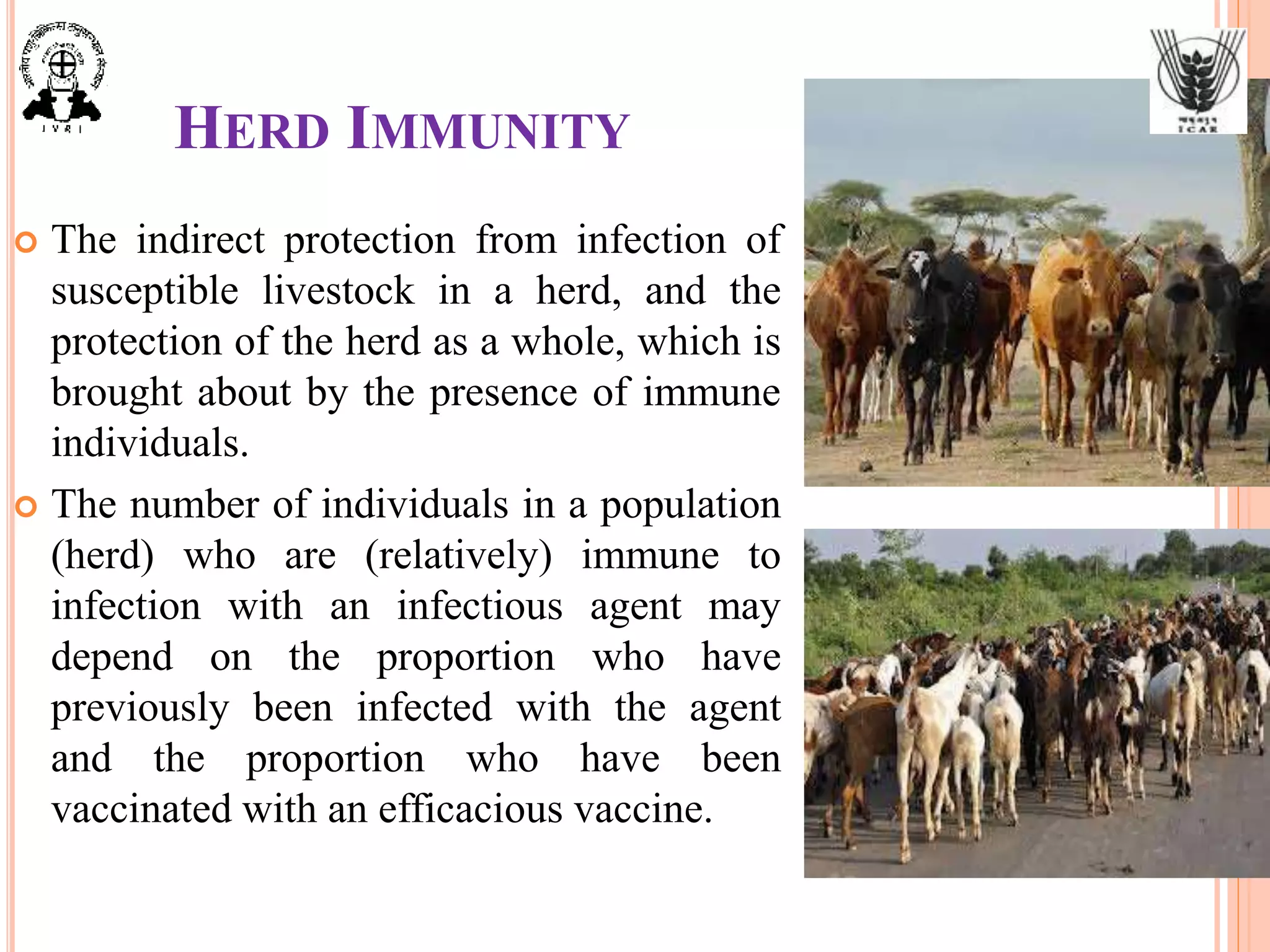 HERD IMMUNITY
 The indirect protection from infection of
susceptible livestock in a herd, and the
protection of the herd as a whole, which is
brought about by the presence of immune
individuals.
 The number of individuals in a population
(herd) who are (relatively) immune to
infection with an infectious agent may
depend on the proportion who have
previously been infected with the agent
and the proportion who have been
vaccinated with an efficacious vaccine.
 