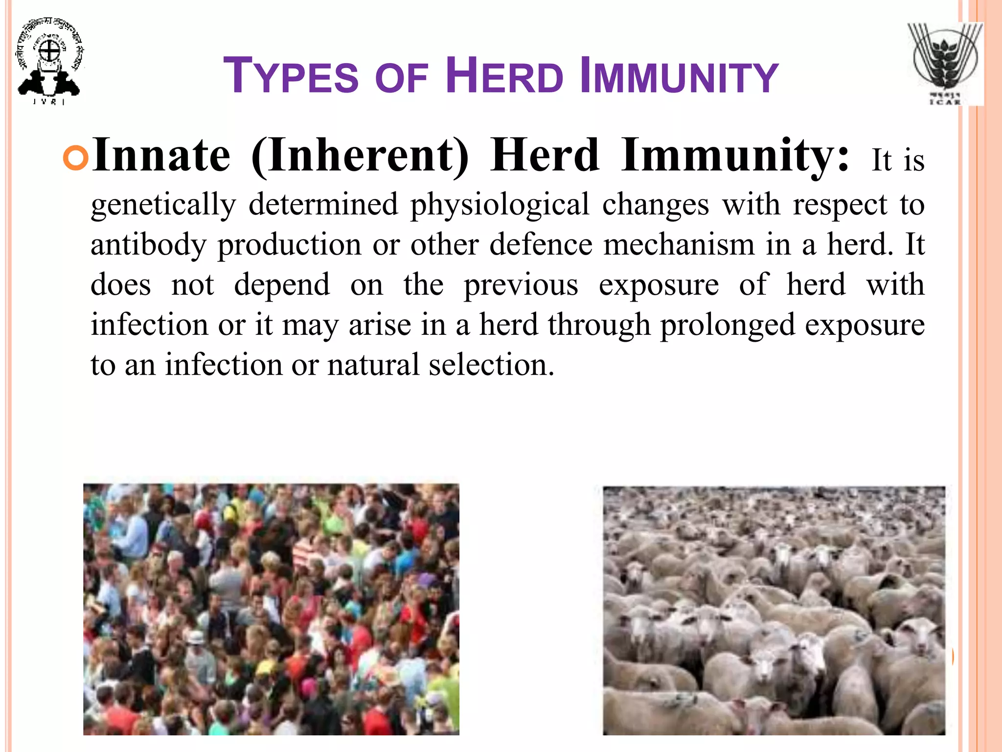 TYPES OF HERD IMMUNITY
Innate (Inherent) Herd Immunity: It is
genetically determined physiological changes with respect to
antibody production or other defence mechanism in a herd. It
does not depend on the previous exposure of herd with
infection or it may arise in a herd through prolonged exposure
to an infection or natural selection.
 