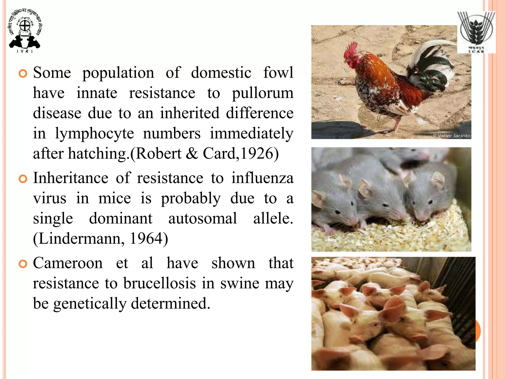  Some population of domestic fowl
have innate resistance to pullorum
disease due to an inherited difference
in lymphocyte numbers immediately
after hatching.(Robert & Card,1926)
 Inheritance of resistance to influenza
virus in mice is probably due to a
single dominant autosomal allele.
(Lindermann, 1964)
 Cameroon et al have shown that
resistance to brucellosis in swine may
be genetically determined.
 