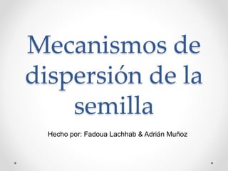 Mecanismos de
dispersión de la
semilla
Hecho por: Fadoua Lachhab & Adrián Muñoz
 