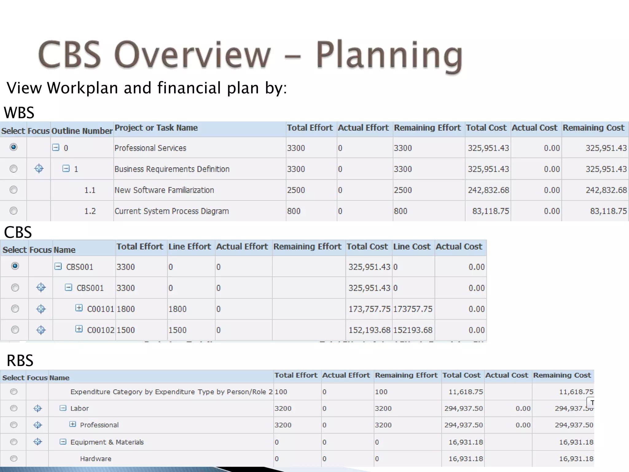 View Workplan and financial plan by:
WBS
CBS
RBS
 
