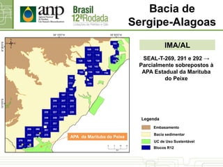 IMA/AL
Bacia de
Sergipe-Alagoas
UC de Uso Sustentável
Bacia sedimentar
Blocos R12
Legenda
Embasamento
SEAL-T-269, 291 e 292 →
Parcialmente sobrepostos à
APA Estadual da Marituba
do Peixe
APA da Marituba do Peixe
 