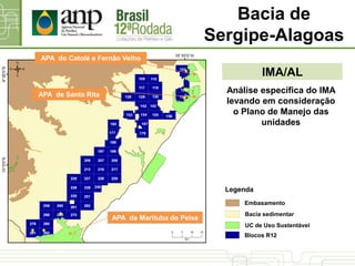 IMA/AL
Bacia de
Sergipe-Alagoas
UC de Uso Sustentável
Bacia sedimentar
Blocos R12
Legenda
Embasamento
Análise específica do IMA
levando em consideração
o Plano de Manejo das
unidades
APA da Marituba do Peixe
APA de Santa Rita
APA do Catolé e Fernão Velho
 