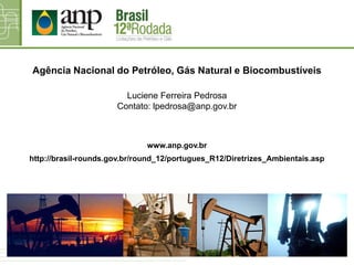 Agência Nacional do Petróleo, Gás Natural e Biocombustíveis
Luciene Ferreira Pedrosa
Contato: lpedrosa@anp.gov.br
www.anp.gov.br
http://brasil-rounds.gov.br/round_12/portugues_R12/Diretrizes_Ambientais.asp
 